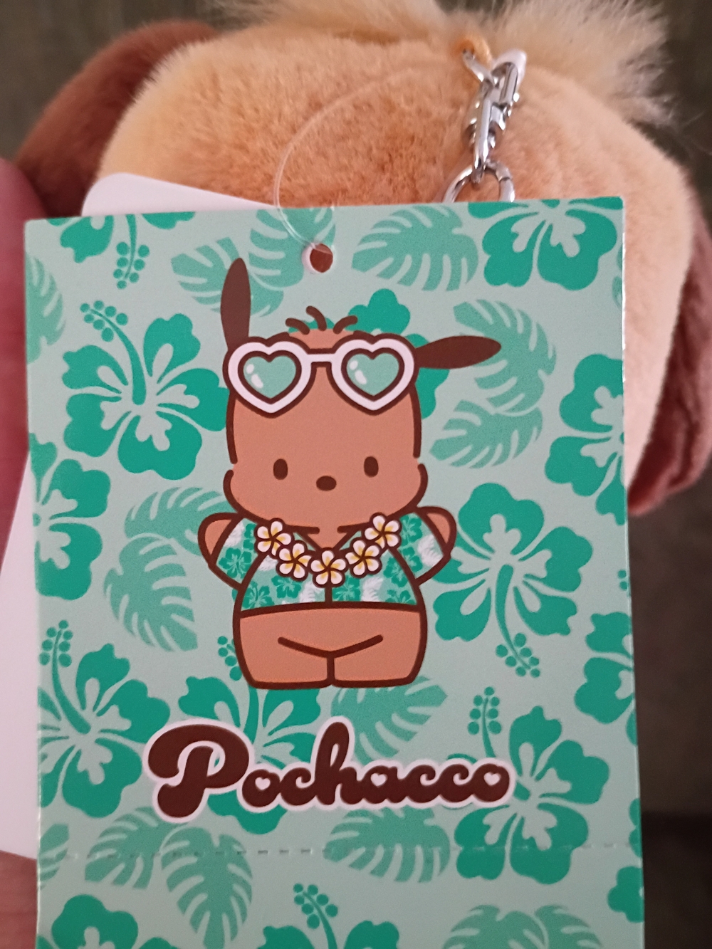 Sanrio Pochacco Mascot Tokonatsu Vacation Plush Japan New With Tags - Picture 5 of 9